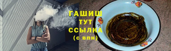 хмурый Ельня