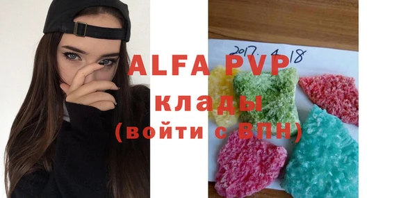 хмурый Ельня