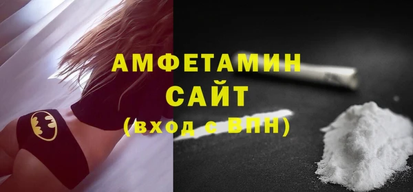 хмурый Ельня