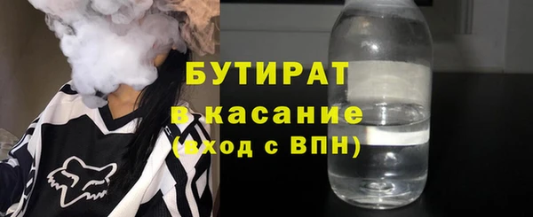 хмурый Ельня
