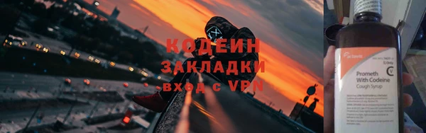 хмурый Ельня