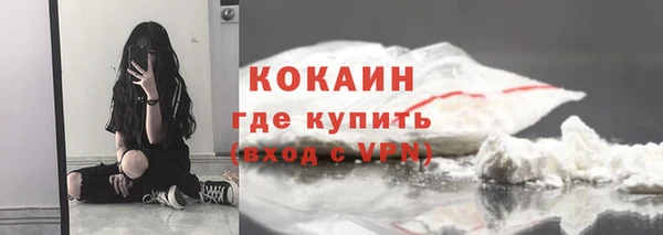хмурый Ельня