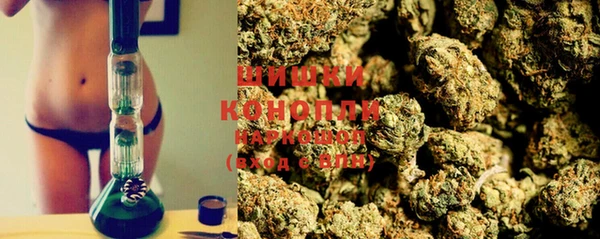 дурь Елабуга