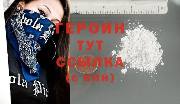 хмурый Ельня