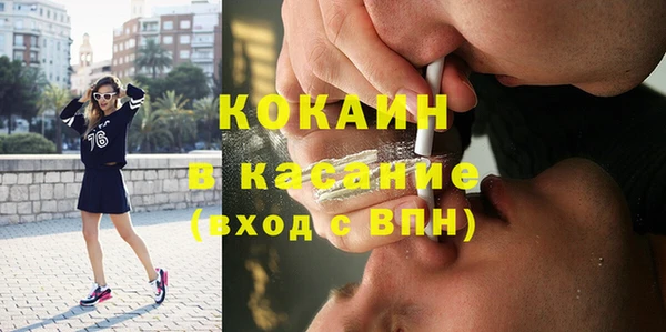 хмурый Ельня