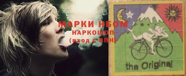 хмурый Ельня
