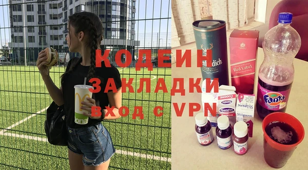 хмурый Ельня