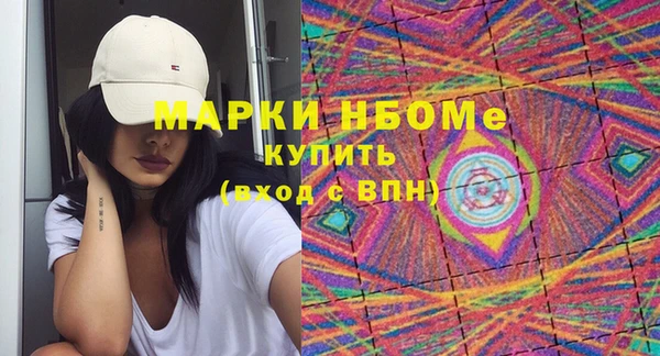 хмурый Ельня